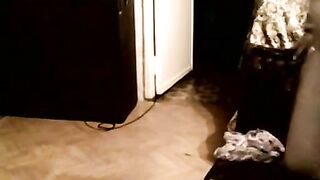 брюнетка aliceli