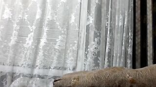 Сладкие Дырочки