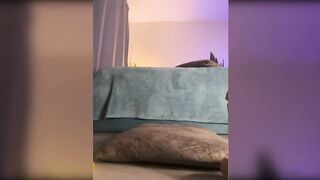 Witch_peach-Эдакая бе-стыд-ни-ца