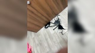 Онлайн-эровидеочат с Sweet-Panic на BongaCams 2024-01-23 21_37