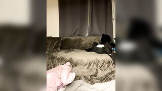 Alexsia_riley бесплатное вебкам шоу и XXX чат _ xHamsterLive 2024-07-19 01_57