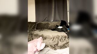 Alexsia_riley бесплатное вебкам шоу и XXX чат _ xHamsterLive 2024-07-19 01_57