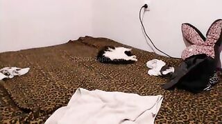 AmazingJack стрип