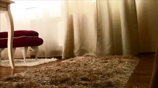 Hitachi cum homealone series