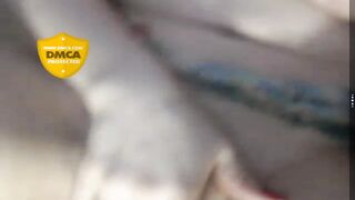 LoveCatsuit день рождения